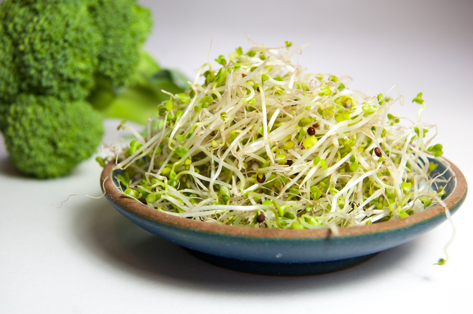 Broccoli Seeds for Microgreens & Sprouts -100g,