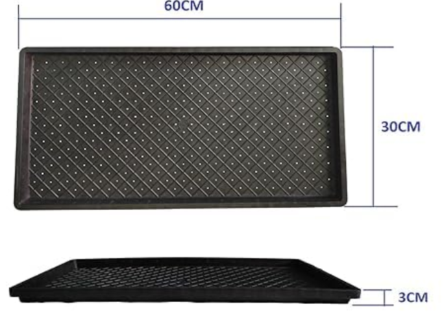 Microgren and Wheatgrass Grow Tray | Polypropylene Made | Black - 2 Sets (4 Tray)
