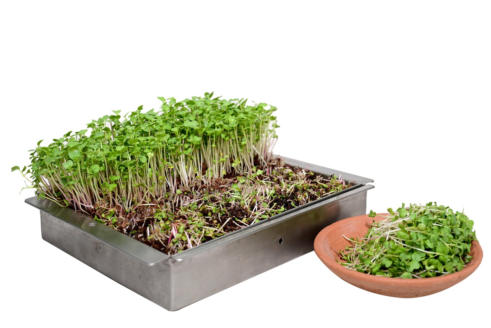 Stylish, Durable, Eco-Friendly Steel Grow Tray – Self-Watering Model- Binestar12