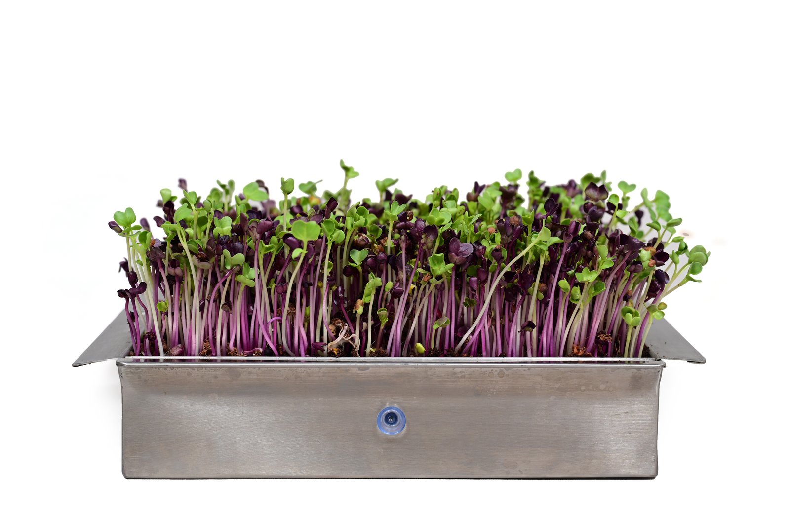Stylish, Durable, Eco-Friendly Steel Grow Tray – Self-Watering Model- Binestar12