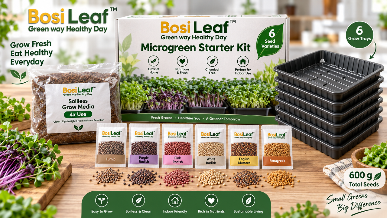Microgreen Starter Silver Kit – 6 Seed Varieties (Turnip, Purple, Pink & White Radish, English Mustard, Fenugreek) | 600 g Seeds + Soilless Grow Media (4x Use) & 6 Trays