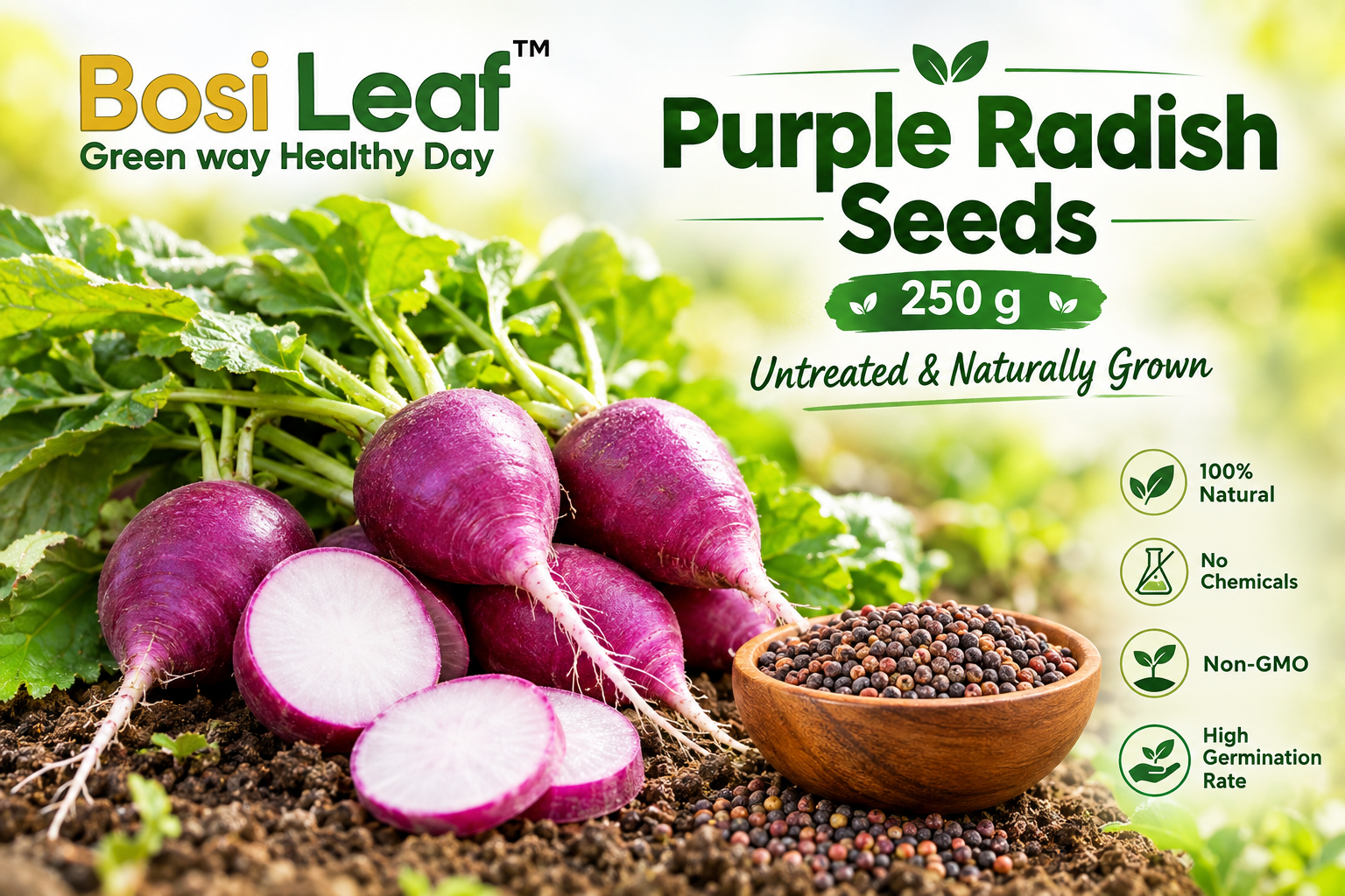 Purple Radish Seeds – 250 g | Untreated & Naturally Grown