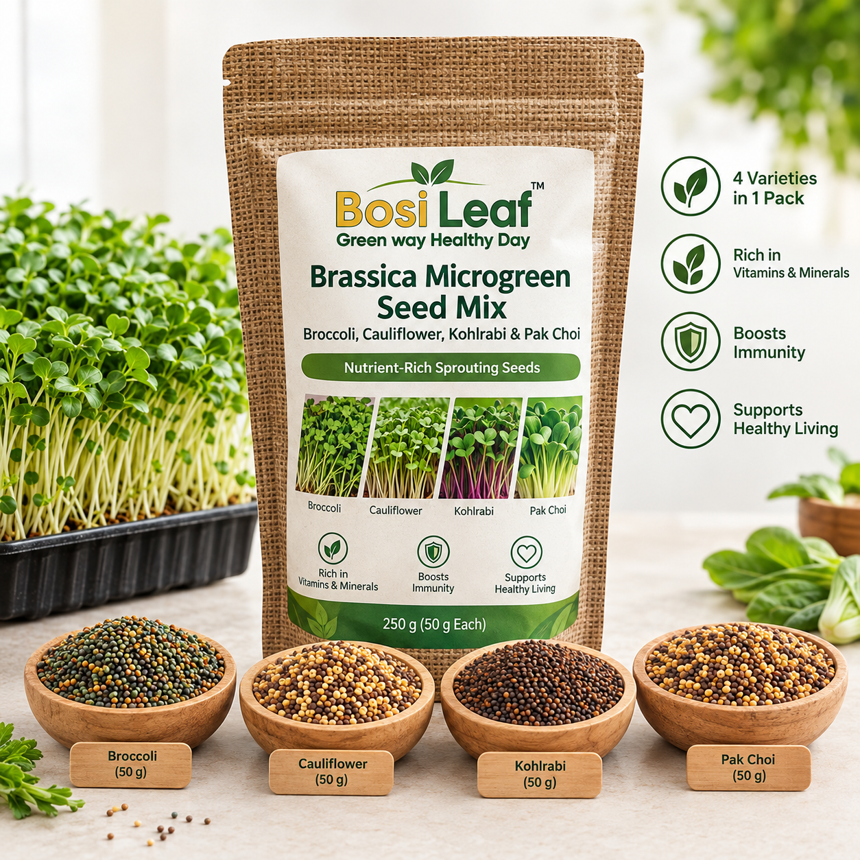Brassica Microgreen Seed Mix – Broccoli, Cauliflower, Kohlrabi & Pak Choi  | 250 g (50 g Each) | Nutrient‑Rich Sprouting Seeds