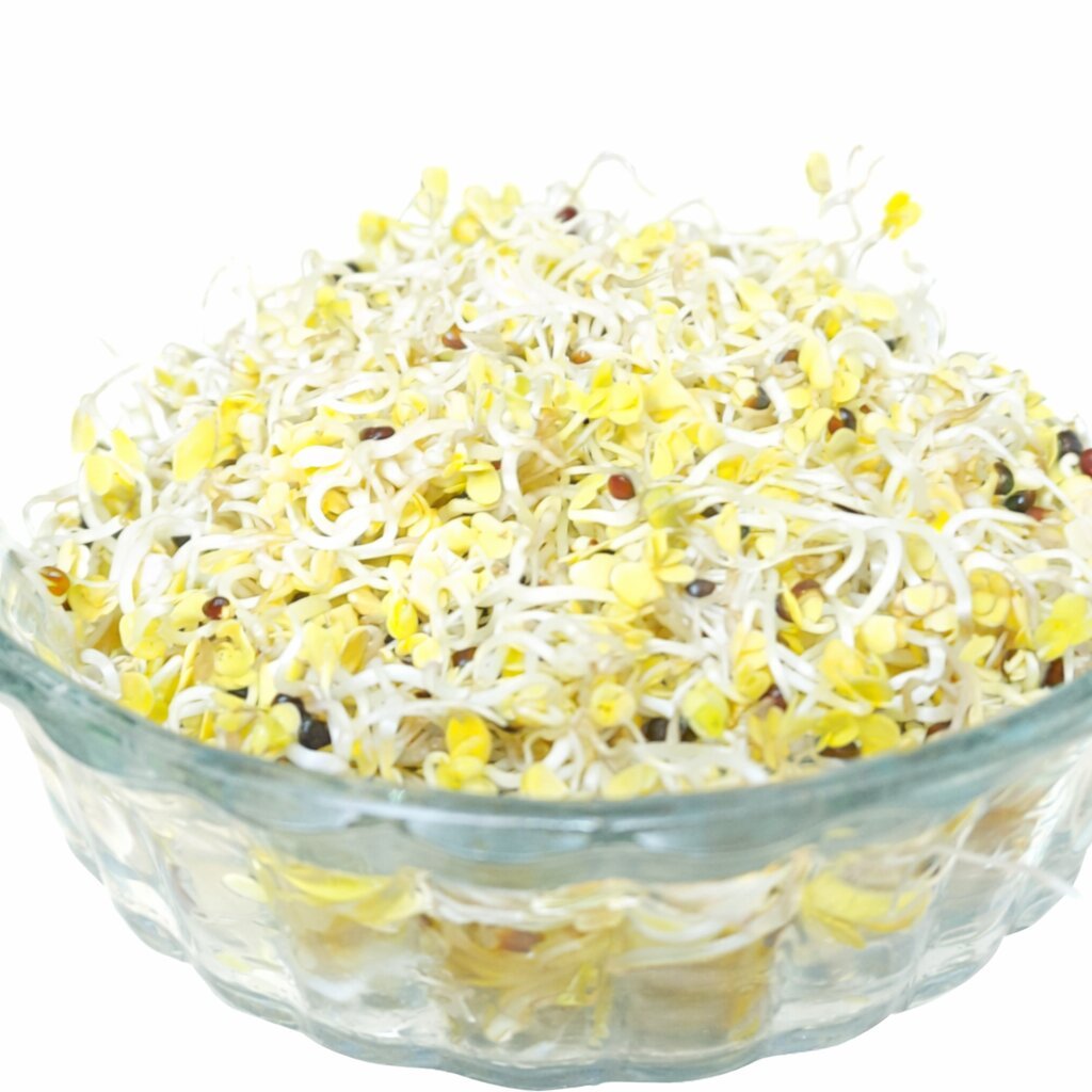 Microgreen Super Salad Premium Mix – 600 g (Purple Radish, Broccoli, Pak Choi, Alfalfa, Clover & Turnip) | Daily Use Nutrient‑Rich Seeds